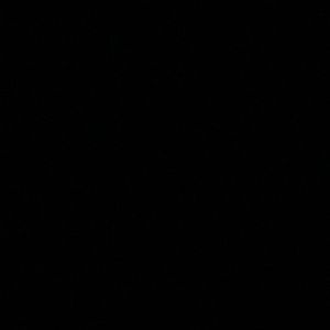 Meet your Posher, Halie